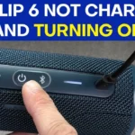 jbl flip 6 beeping when charging