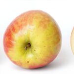 Apple AI features in China: The Best Proven Tools Available