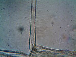 nanosatellite scientific observations